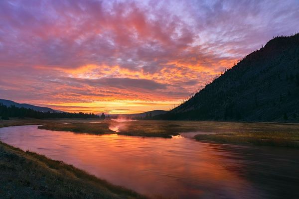 Jones, Adam 아티스트의 Madison River at sunrise-Yellowstone National Park-Wyoming작품입니다.